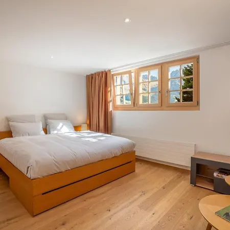 Mountain View Next To Gondola & * Αντελμπόντεν